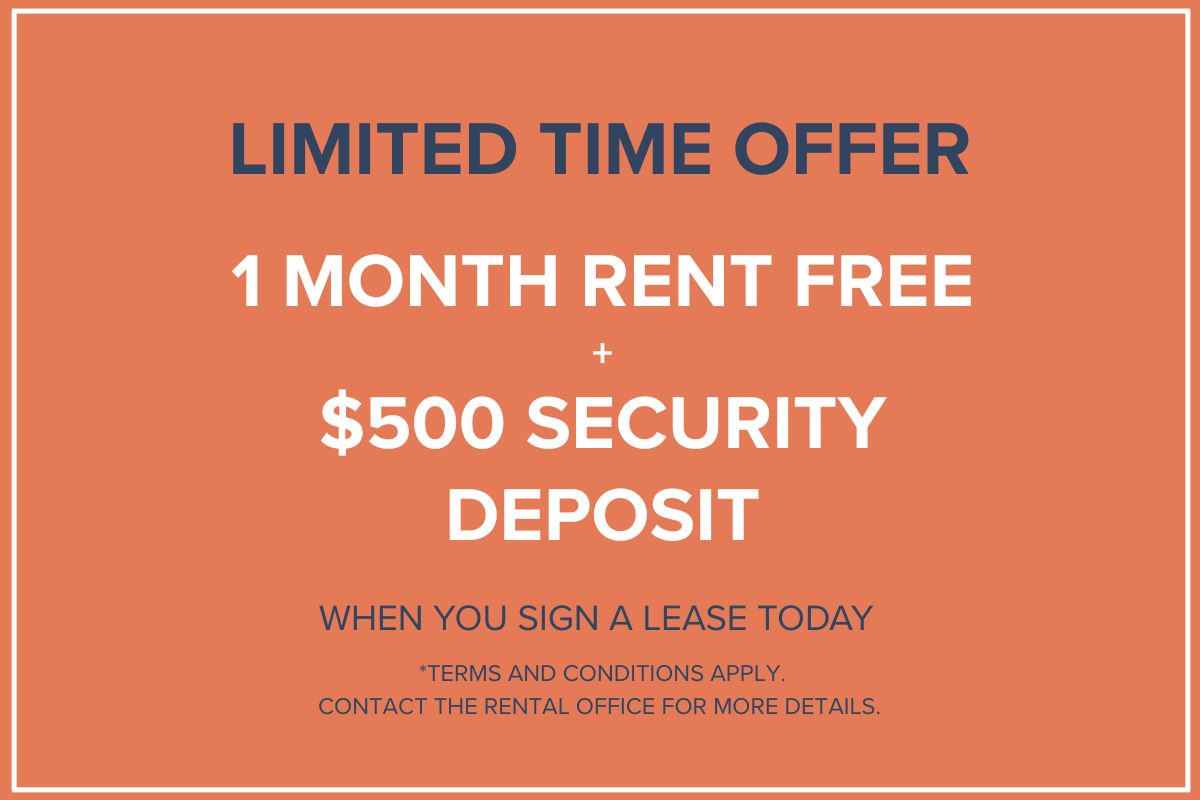 Special Offers!