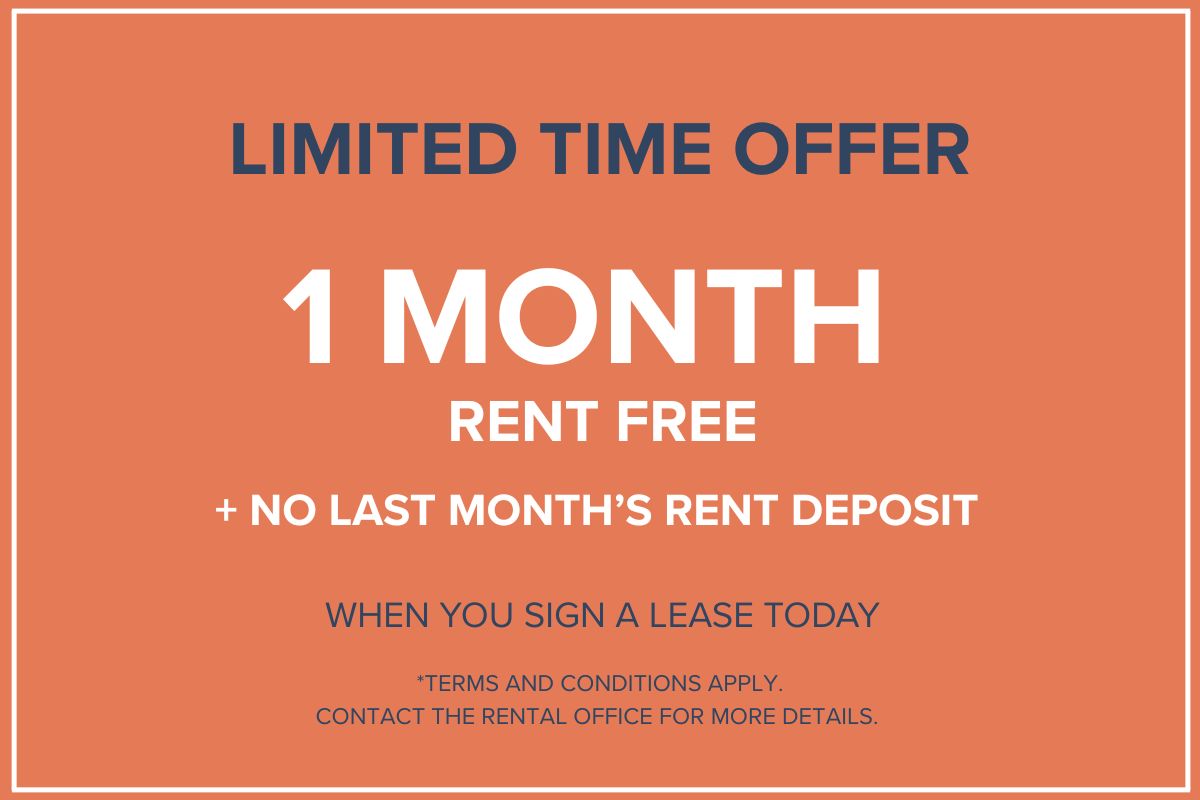 Limited Time Offer!