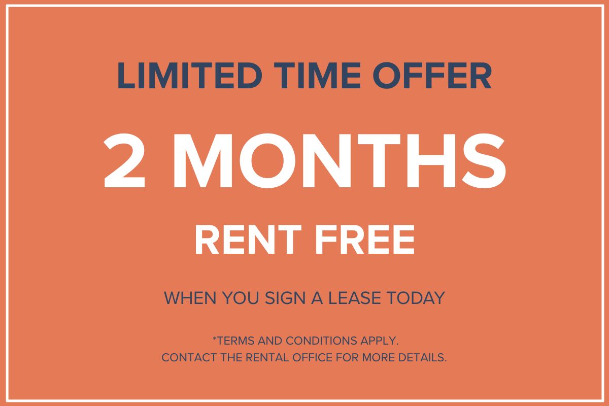 Limited Time Offer!